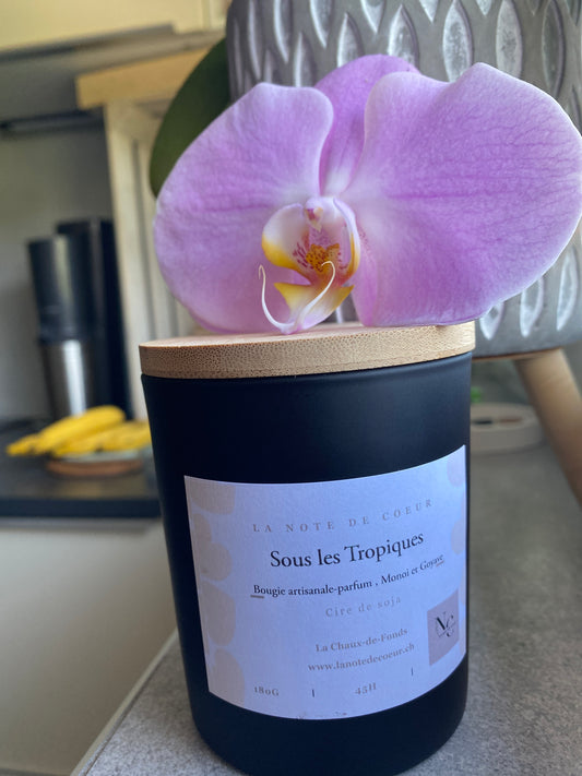 Sous les Tropiques  180g